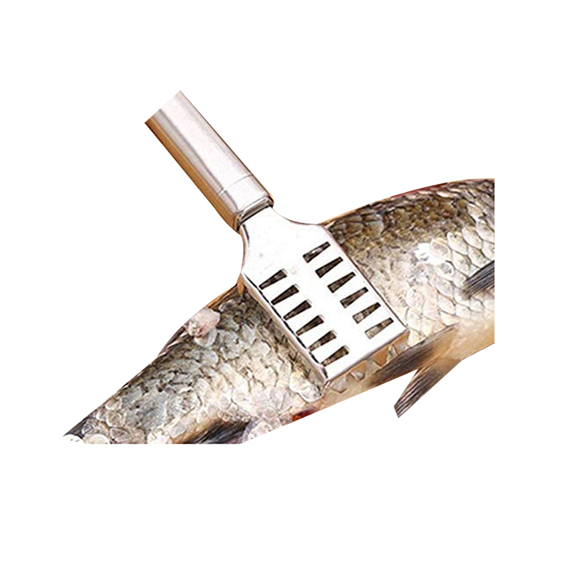 Picture of Fish Scale Scraper Brush, Stainless Steel Fish Scaler Scales Skin Remover, Removing Peeler Cle