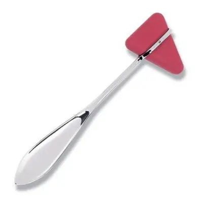 Picture of Taylor Percussion Reflex Hammer For Medical Student\'s & Doctors
