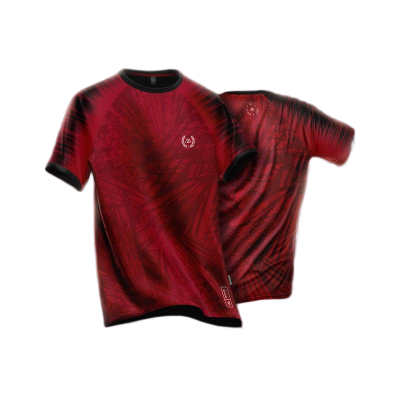Picture of Manfare's Premium Sports T Shirt - Active Wear I MF-595