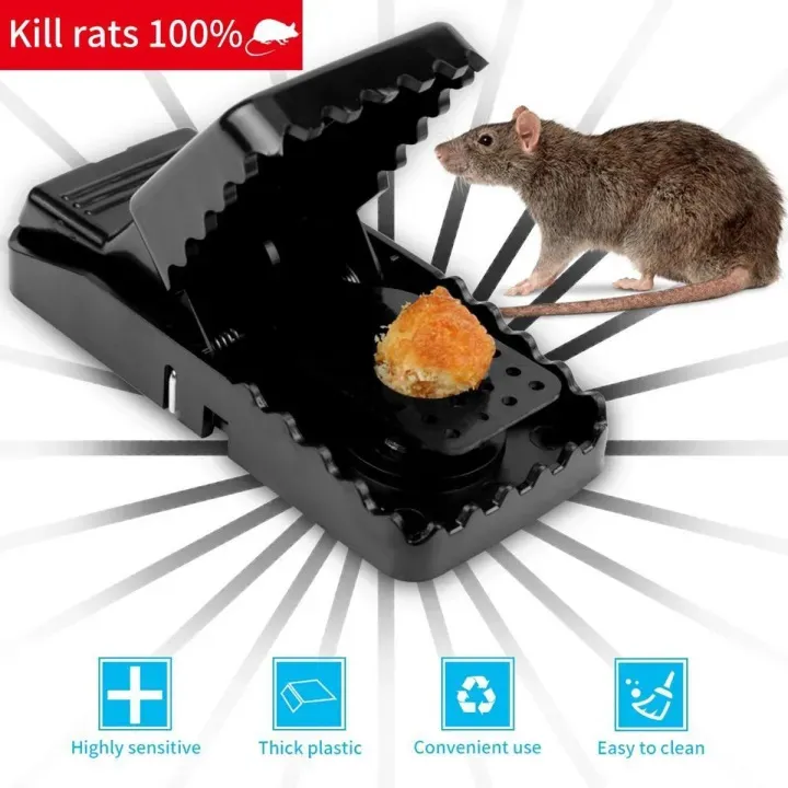Picture of Mouse Killer Trap (5×3×3 inches)