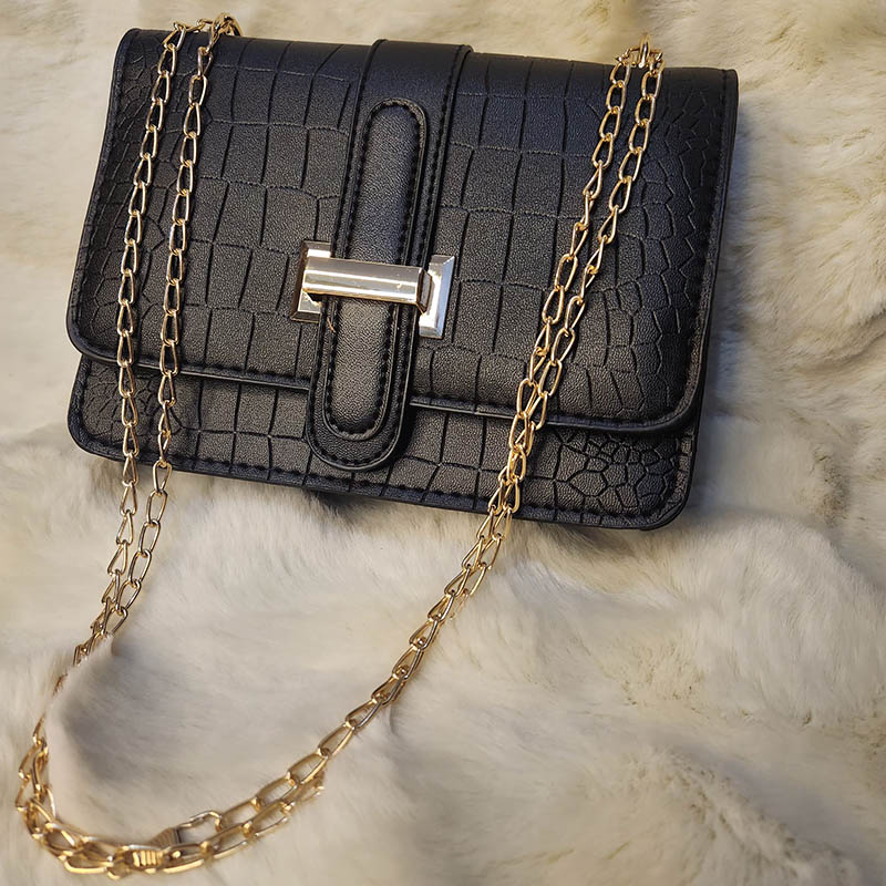 Picture of Small Black Bag with long chain