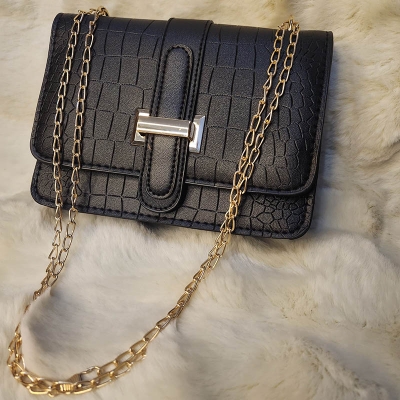 Picture of Small Black Bag with long chain