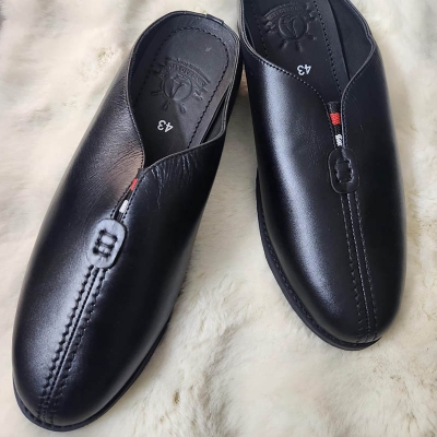 Picture of Sleek Backless Shoe