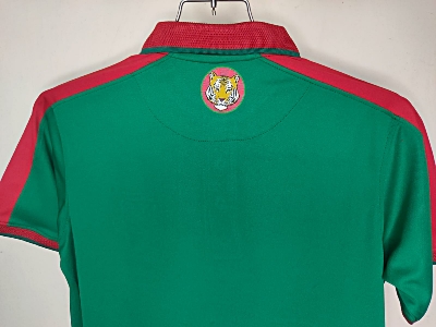 Picture of Bangladesh Cricket Half Sleeve Polo Tshirt