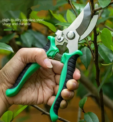 Picture of Tree Cutting Plus