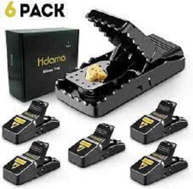 Picture of Mouse Killer Trap