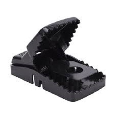 Picture of Mouse Killer Trap
