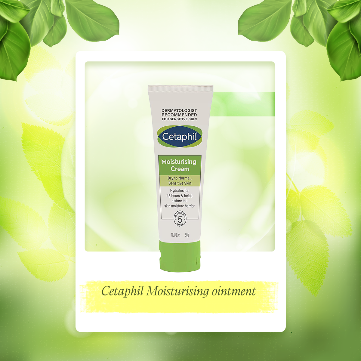 Picture of Cetaphil Moisturising ointment for Face & Body Dry to very dry skin-80 gm
