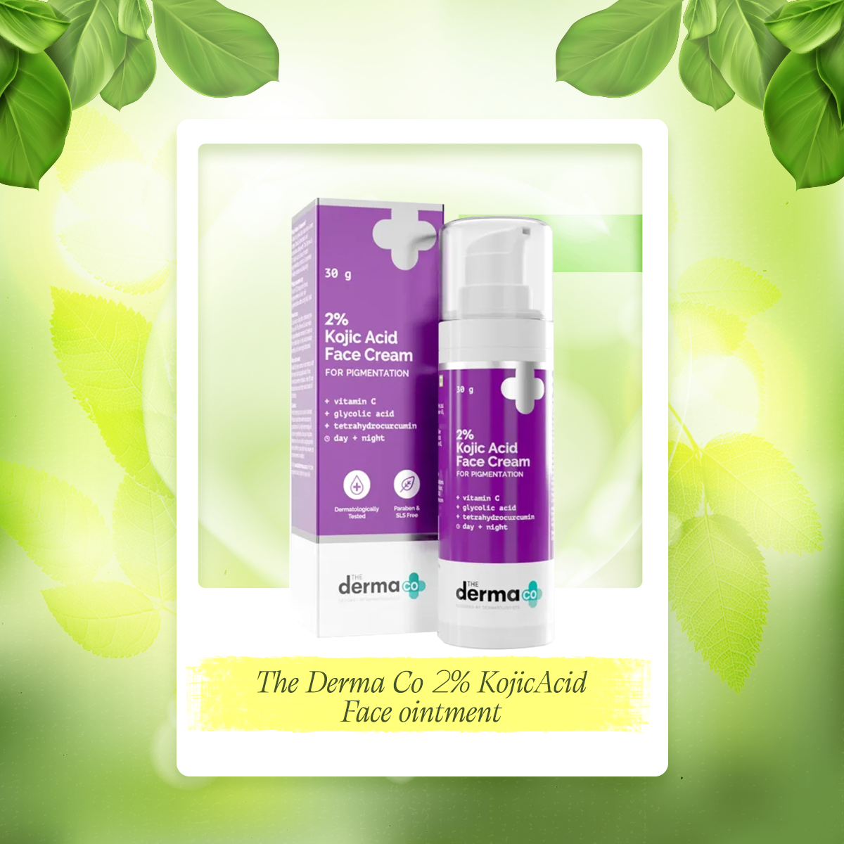 Picture of The Derma Co 2% KojicAcid Face ointment -30 gm