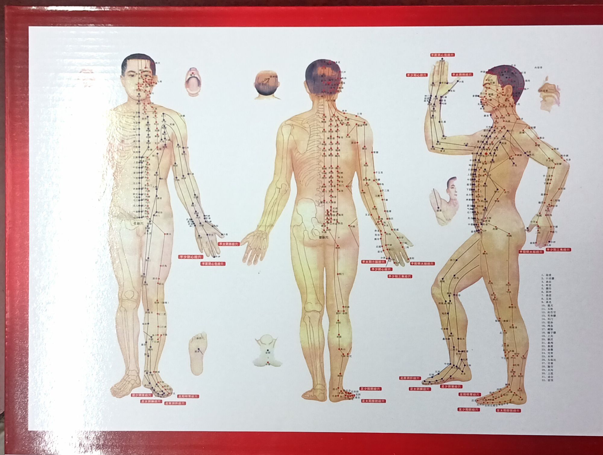 Picture of Acu Hijama/cupping /Sunnah therapy 1set with 32 pcs cup