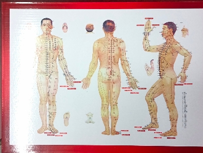 Picture of Acu Hijama/cupping /Sunnah therapy 1set with 32 pcs cup