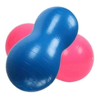 Picture of Gym ball exercise sports Support