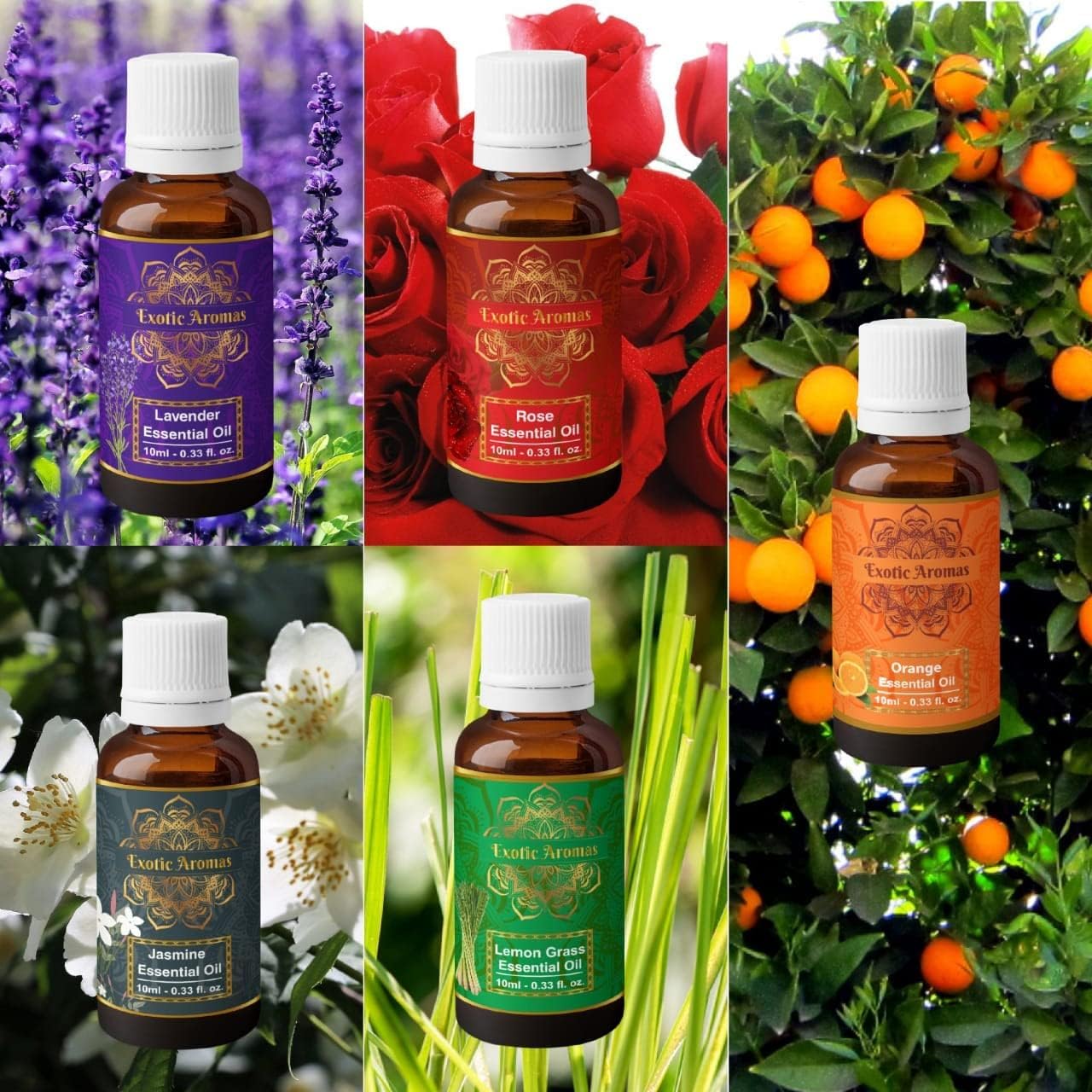 Picture of Exotic Aromas Essential Oil - Lavender/ Lemongrass/ Jasmine /Orange (Mandarin), Rose oil (Pack of 5)