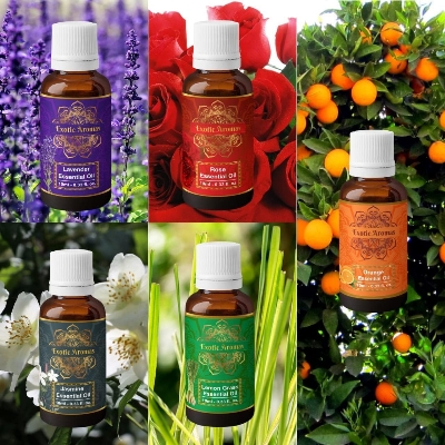 Picture of Exotic Aromas Essential Oil - Lavender/ Lemongrass/ Jasmine /Orange (Mandarin), Rose oil (Pack of 5)