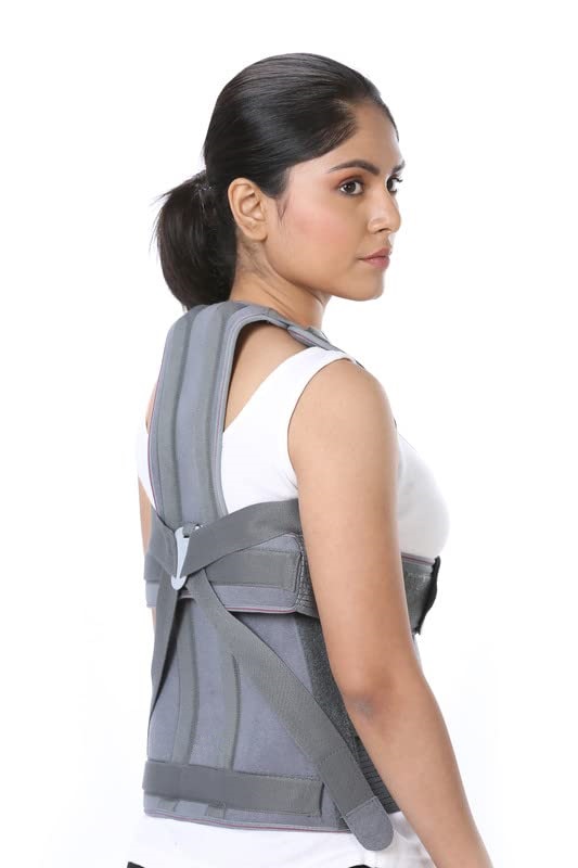 Picture of TAYLOR BRACE for men & women| Posture Corrector Belt For Back & Shoulder, Back Support Belt. Back Straightener Brace For Spine & Body Posture Correction, Backbone Support Belt