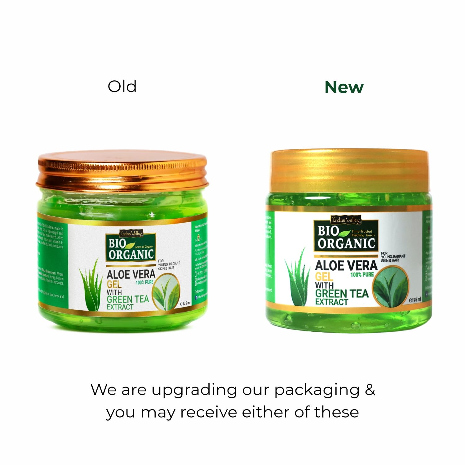 Picture of INDUS VALLEY Bio Organic Pure Multipurpose Aloe Vera Gel With Green Tea Extract For Face, Body & Hair,For Glowing & Soothing Skin, Anti-Ageing & Acne, Suitable to All Skin Type - 175ml