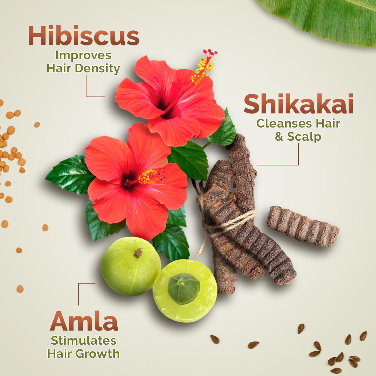 Picture of Mamaearth Kerala Thaali Cleansing Pre-Shampoo Hair Mask with Hibiscus, Shikakai, Amla, Flaxseed for Thick & Long Hair 200g | Ready To Use Thali | Gently Cleanses | Adds Shine | 100% Natural Herbs | 12 Potent Herbs