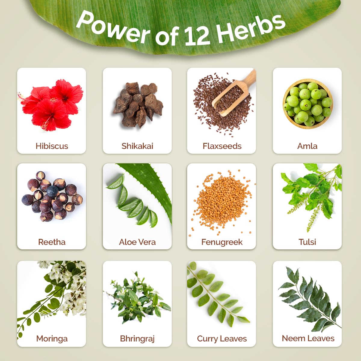 Picture of Mamaearth Kerala Thaali Cleansing Pre-Shampoo Hair Mask with Hibiscus, Shikakai, Amla, Flaxseed for Thick & Long Hair 200g | Ready To Use Thali | Gently Cleanses | Adds Shine | 100% Natural Herbs | 12 Potent Herbs