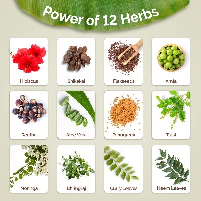 Picture of Mamaearth Kerala Thaali Cleansing Pre-Shampoo Hair Mask with Hibiscus, Shikakai, Amla, Flaxseed for Thick & Long Hair 200g | Ready To Use Thali | Gently Cleanses | Adds Shine | 100% Natural Herbs | 12 Potent Herbs