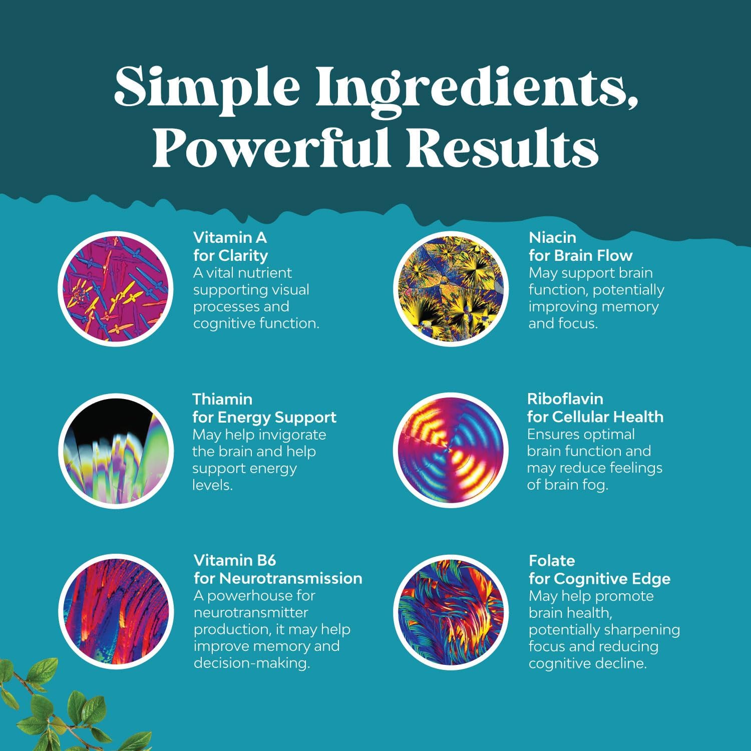 Picture of Advanced Nootropics Brain Support Supplement - Synergetic Mental Energy and Focus Supplement with Brain Vitamins for Cognitive Enhancement - Mind and Memory Supplement for Brain Health (30 Servings)