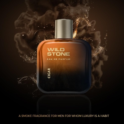 Picture of Wild Stone Cigar Eau De Parfum for Men, 100ml|Spicy and Woody Long Lasting Perfume for Men| Dailywear Fragrance|Premium EDP