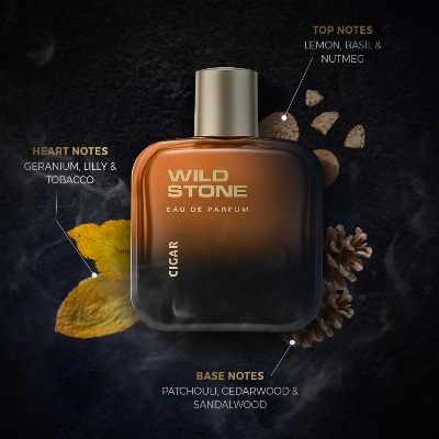 Picture of Wild Stone Cigar Eau De Parfum for Men, 100ml|Spicy and Woody Long Lasting Perfume for Men| Dailywear Fragrance|Premium EDP