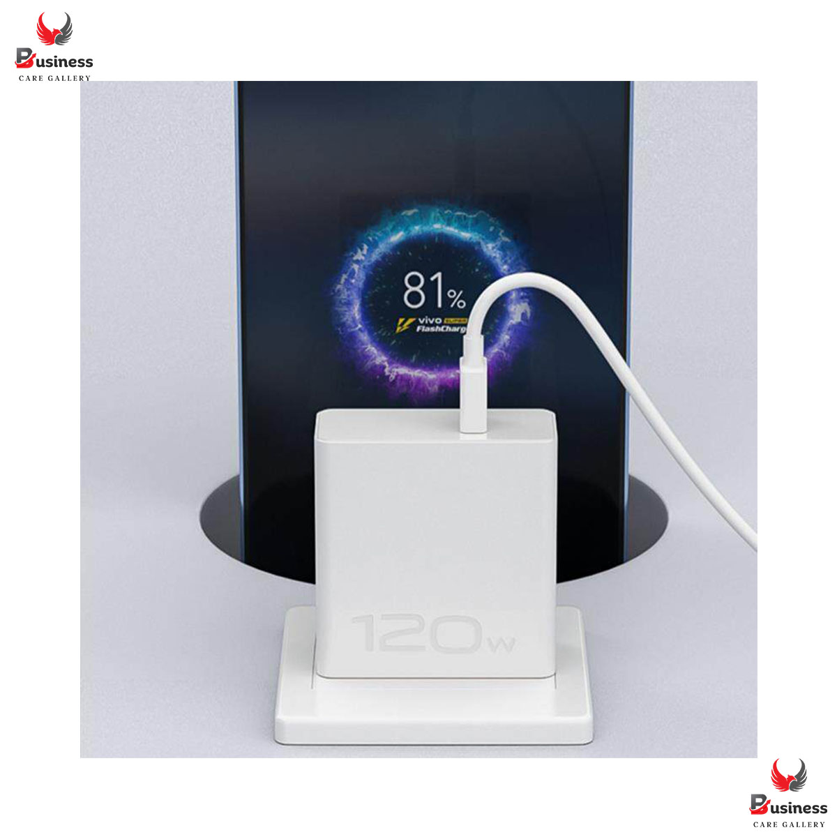 Picture of Vivo iQOO 120W Flash Charger Power Adapter,IQOO Charger V12066LOAO FlashCharger Cesan Type C Untuk Vivo iQoo 11 5G Z7x Z7 5G V27 V27e X80 Pro X90 Pro