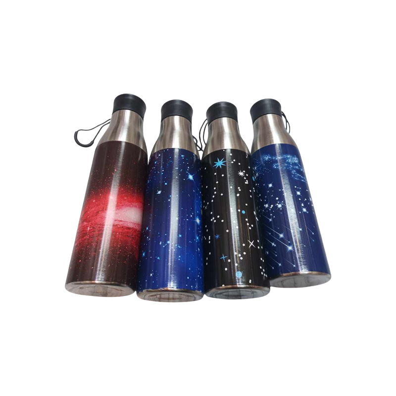 Picture of 750 ML Stainless Steel Insulated Water Bottle