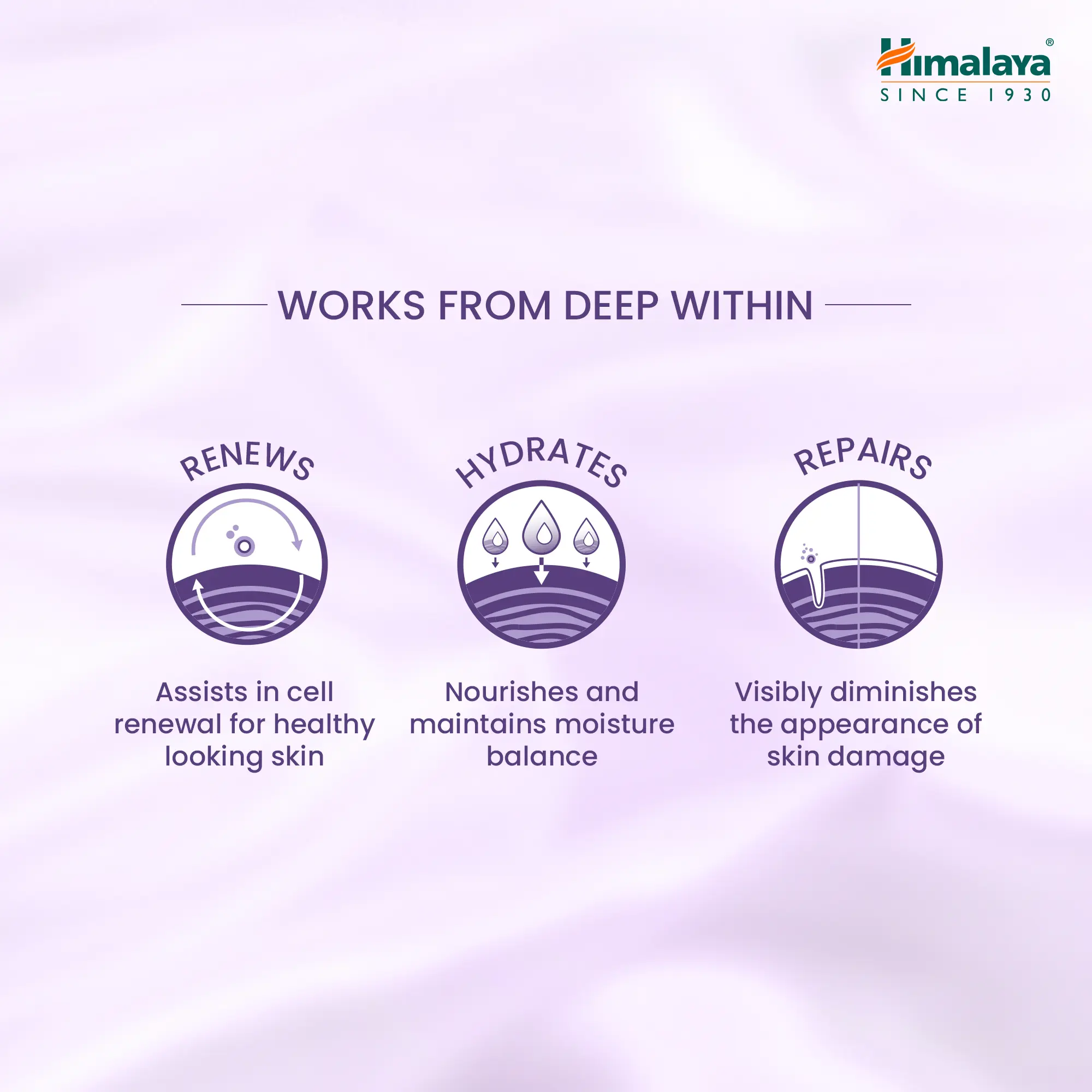 Picture of Himalaya Revitalizing Night Cream 50gm