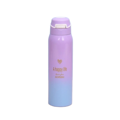 Picture of Gradient Color 500ml Insulated Water Bottle – 500ml | Stylish Stainless Steel Vacuum Flask
