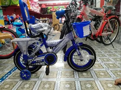 Picture of 12 inchi Any Cycle Without Suspension Lockout fork High Rim Coloring Fat Spoke With Shimano Parts