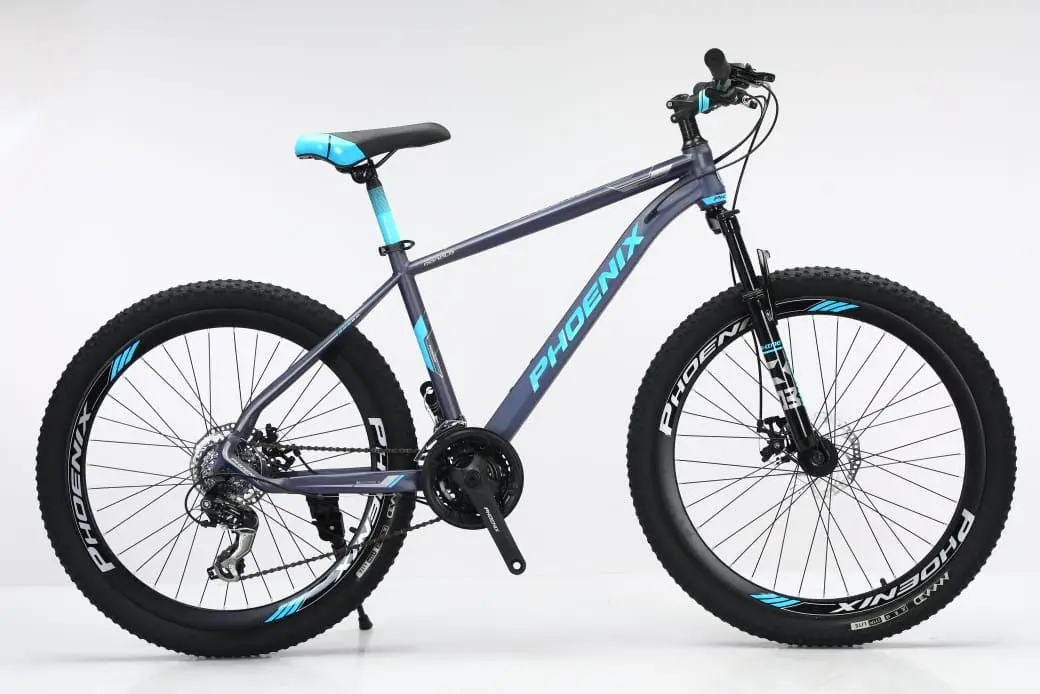 Picture of Phoenix Donald 24 inchi 21 Speed Gear Cycle With Suspension Lockout fork High Rim Coloring Fat Spoke With Shimano Parts