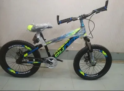 Picture of 20'' phoenix Disc brake cycle
