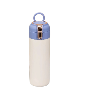 Picture of New Double-Wall Stainless Steel Thermos Bottle – 500ml | Durable Insulated Flask for Hot & Cold Drinks