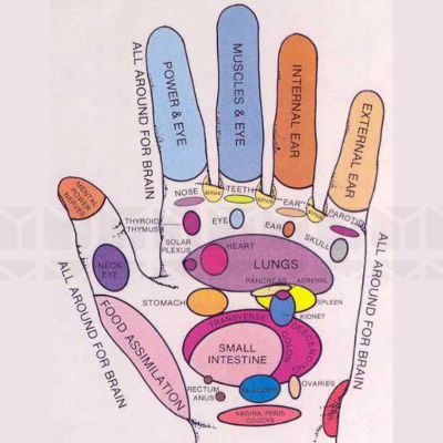 Picture of Wooden Massage Ball| Spiky Massage Ball, Hand Foot and Body Massager 2 pcs