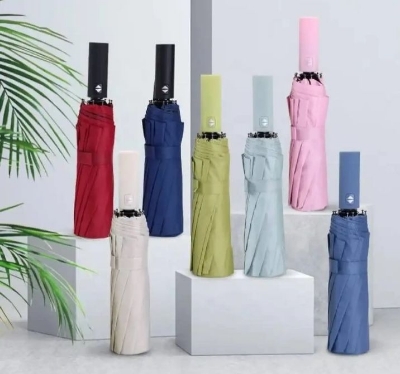 Picture of BMW 12 Sticks Auto Open & Auto Close Super Strong Umbrella