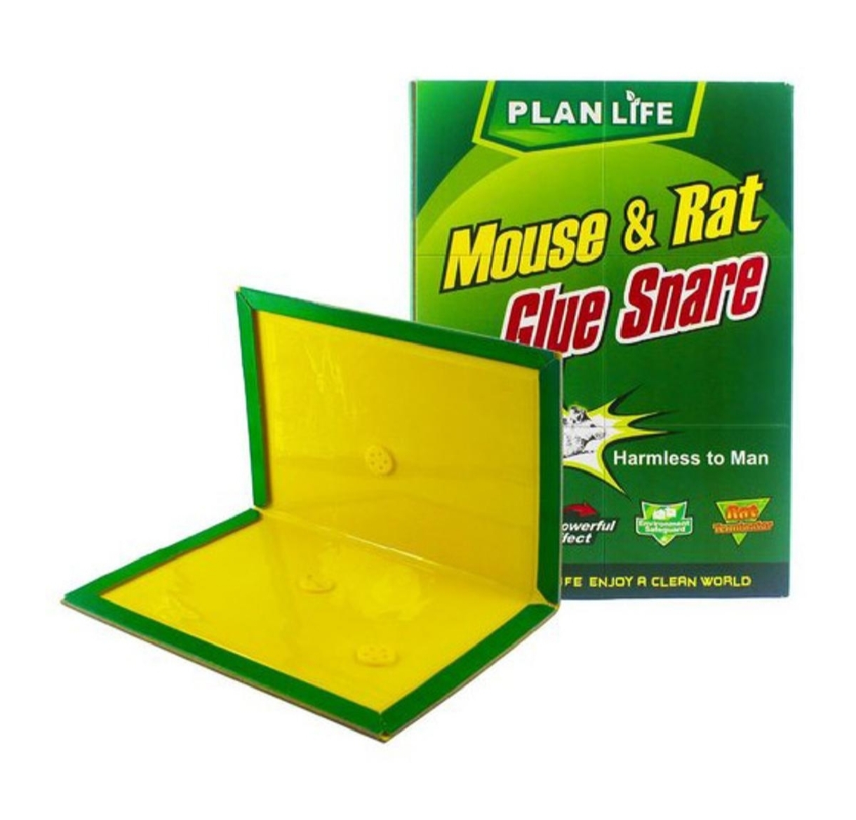 Picture of Mouse Rat Bond Traps Green Killer China-1ps