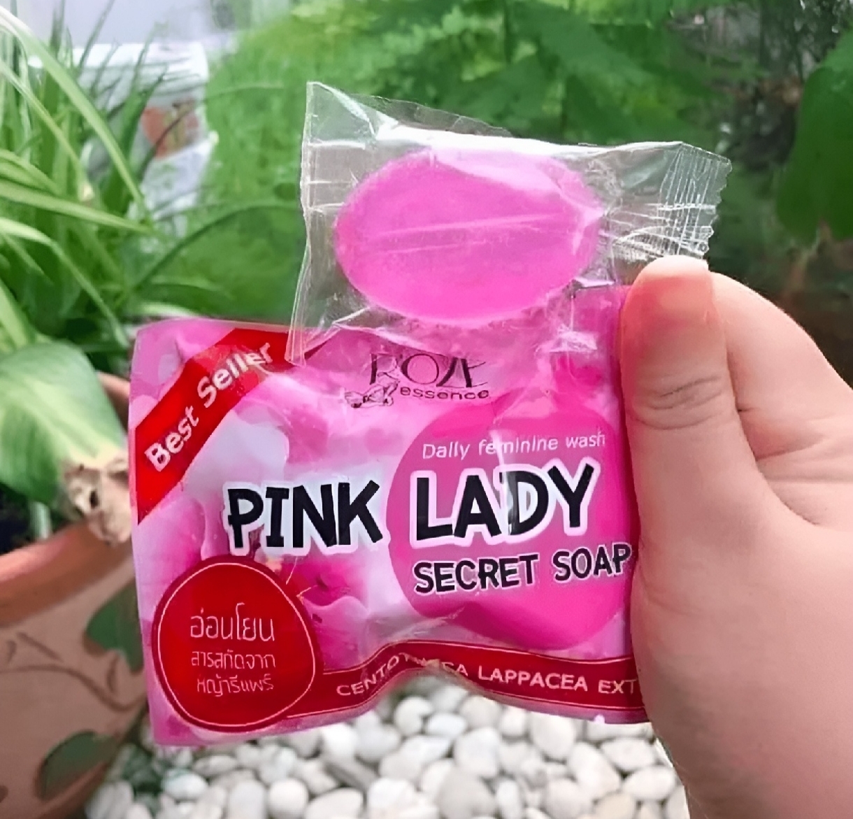 Picture of Pink Soap By ROZE Essence 30g For Women