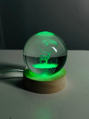 Picture of Color Changing LED 3D Crystal Ball – Deer