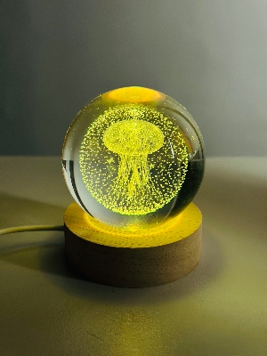 Picture of Color Changing LED 3D Crystal Ball – Jellyfish