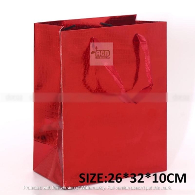 Picture of DESIGN 3D GIFT  BAG 1pcs