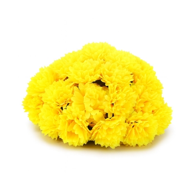 Picture of NEW FASHION HAIR CUPA FOR WOMEN