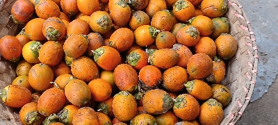 Picture of Supari Betel Nut সুপারি