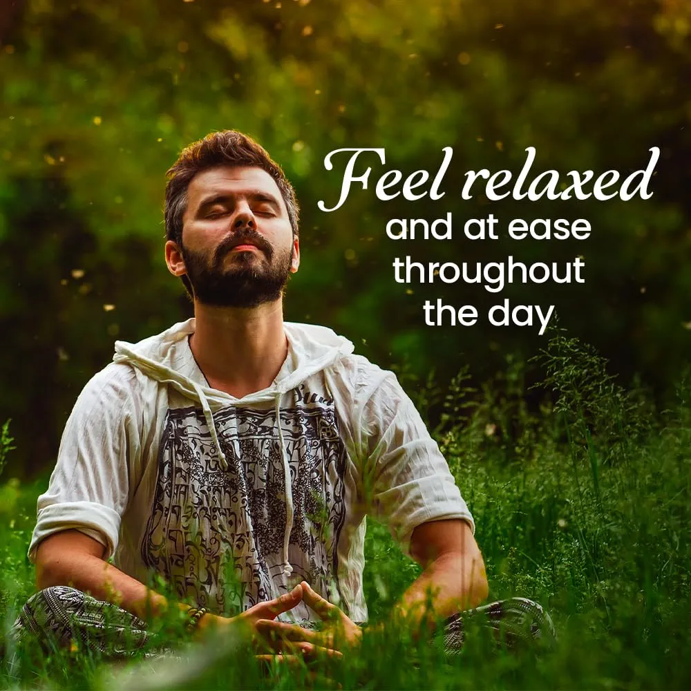 Picture of International Indian Product Fogg Napoleon Fragrance body spray 120 ML