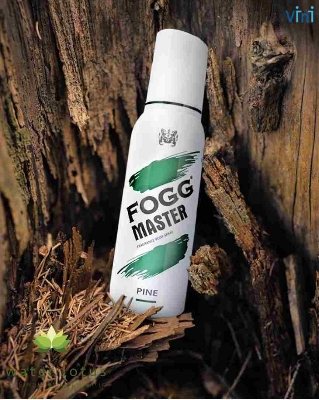 Picture of indian product Fogg Master Body spray (Pine) 120 ML