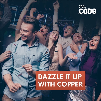 Picture of Indian Product Wild Stone Original Cooper Body Perfume Spray For men 120 Ml