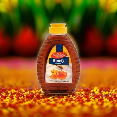 Picture of International Australian Product American Gurmet Honey 500 Gm