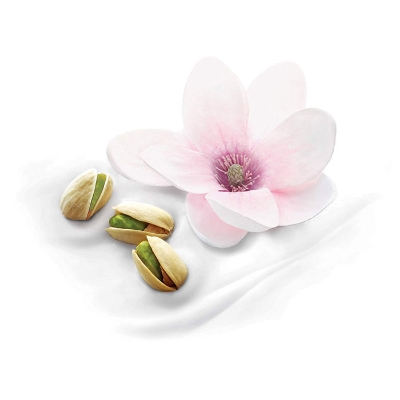 Picture of International Germany Product Dove Body Wash With Pistachio Cream And Magnolia (500ml)