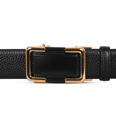 Picture of Stylish Gold Buckle Leather Gear Belt For Men SB-IB060