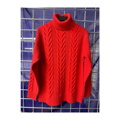 Picture of High Quality Exclusive Turtle Neck Pullover For Women
